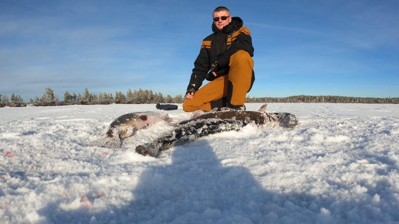 O Rio Amazonas no Inverno: Os Melhores Locais para Pesca de Troféus